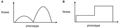 Information Theory, Developmental Psychology, and the Baldwin Effect